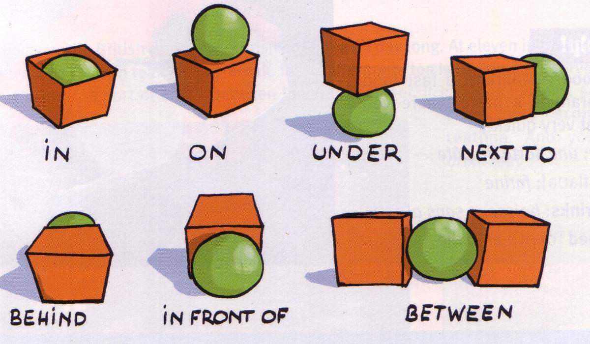 Preposition  Quiz