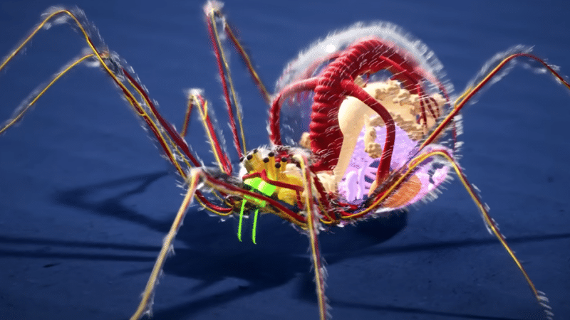 The fantastic anatomy of animals