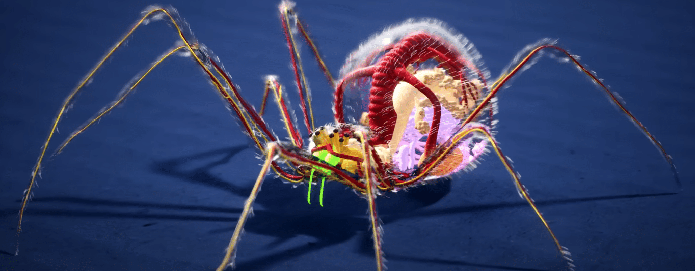 The fantastic anatomy of animals